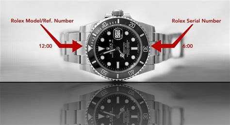 rolex identificativo l929186|rolex watch model number lookup.